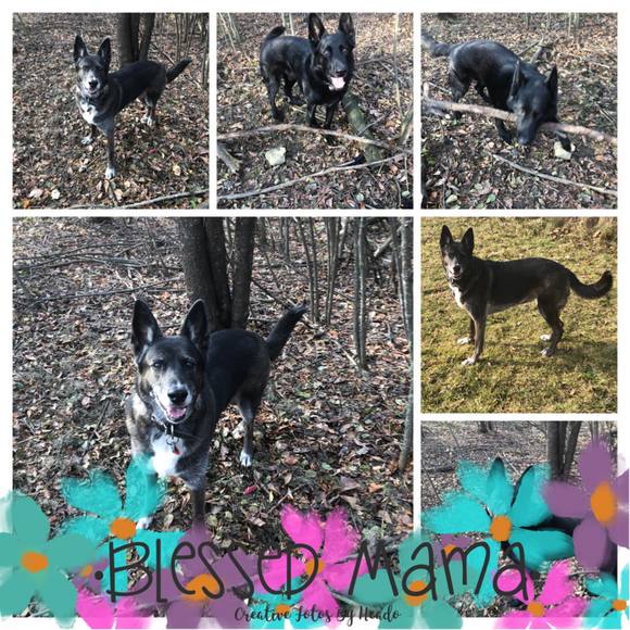 Meet your Posher, Rita - Picture 1 of 1